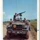 Illustration for article titled M37 Historical Photo Search Success